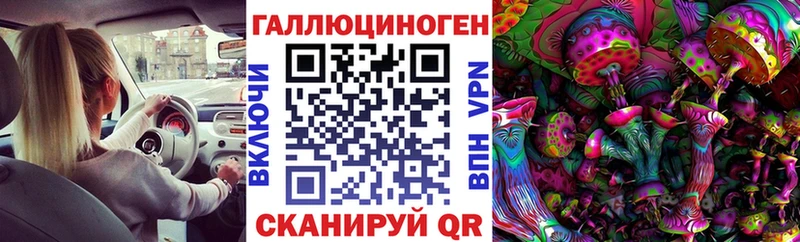 Купить закладки  Переславль-Залесский  Галлюциногенные грибы прущие грибы 